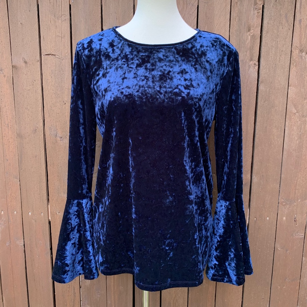 Anthropologie Sapphire Velvet Top Size M